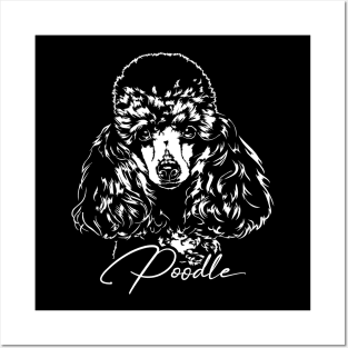 Funny Cute Poodle dog portrait Posters and Art